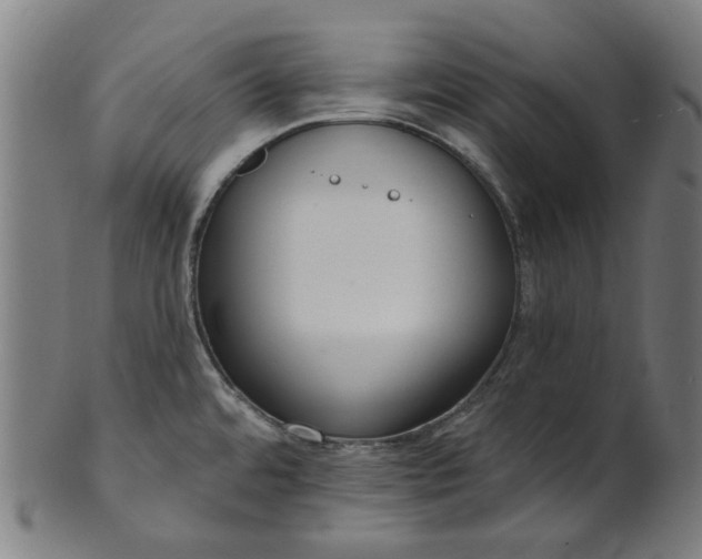 X0000101231480200807111108