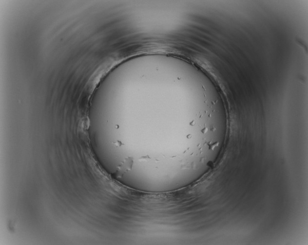 X0000101231481200807111108