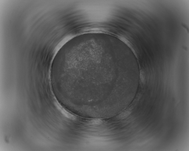 X0000101231482200807111108