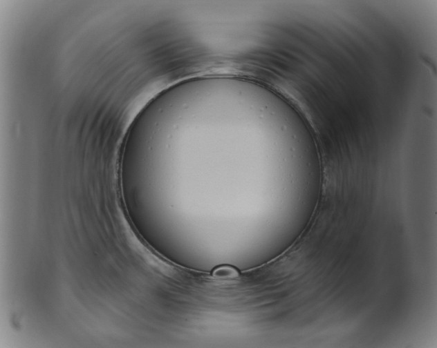 X0000101231483200807111108