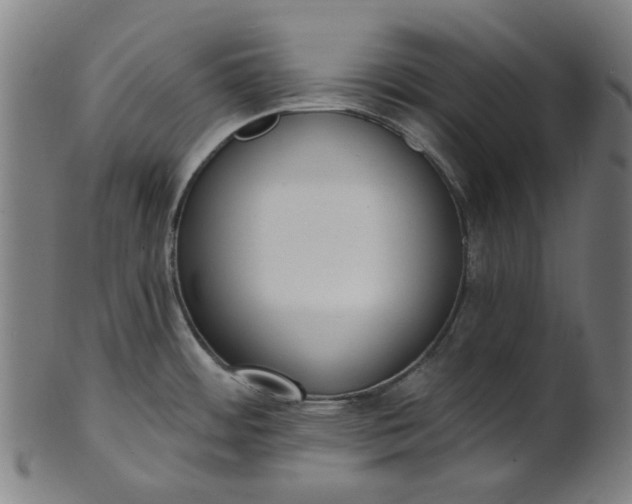 X0000101231484200807111108