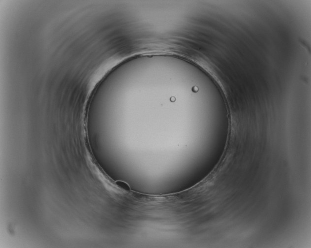 X0000101231485200807111108