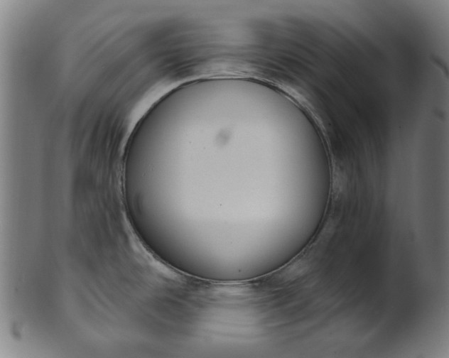 X0000101231486200807111108