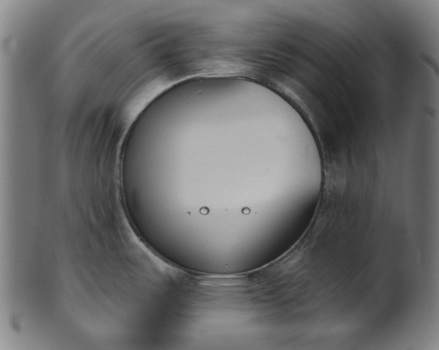 X0000101231487200807111108