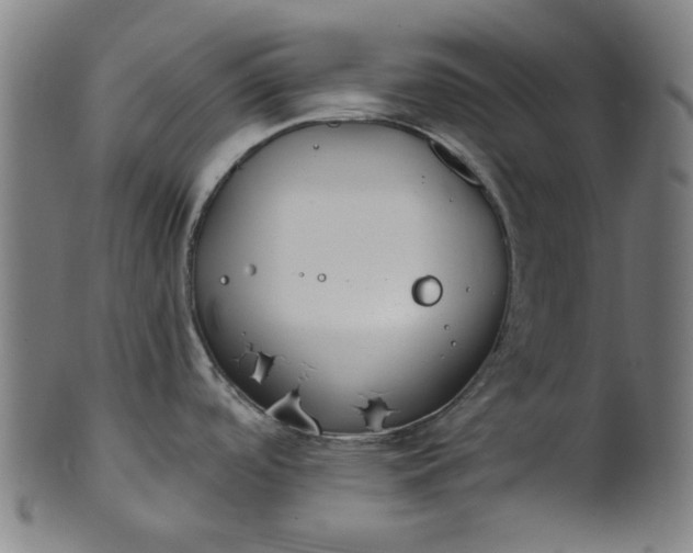 X0000101231488200807111108