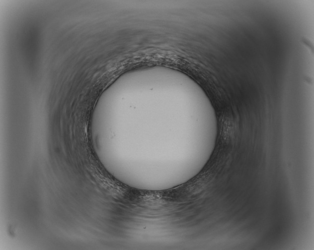 X0000101231489200807111108