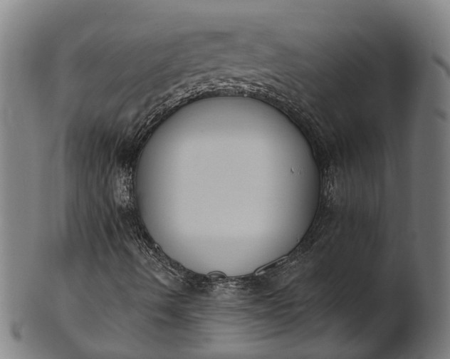 X0000101231490200807111108