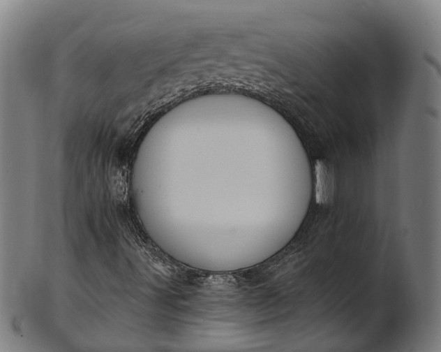 X0000101231491200807111108