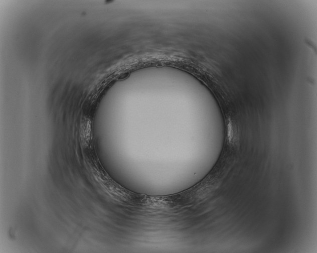 X0000101231492200807111108