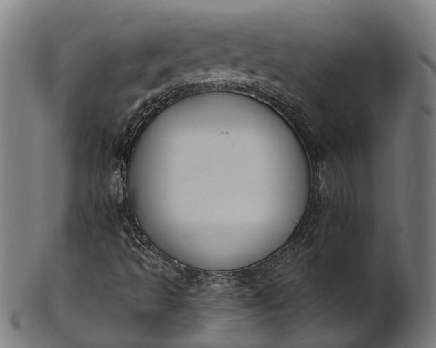 X0000101231493200807111108