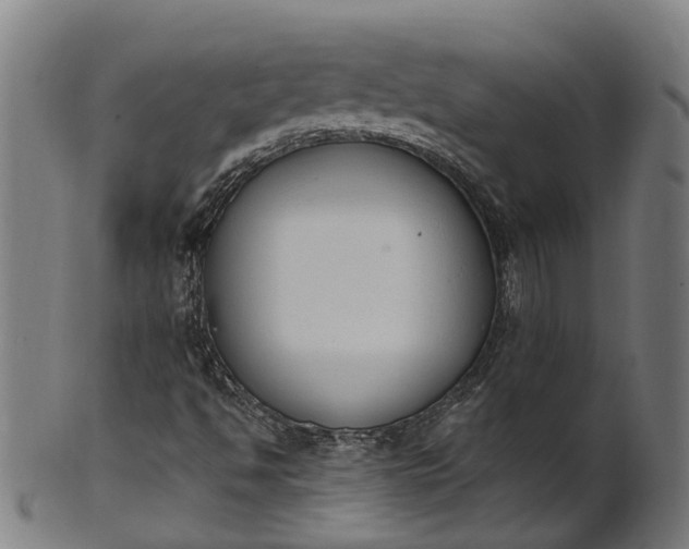 X0000101231494200807111108