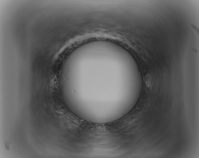 X0000101231495200807111108