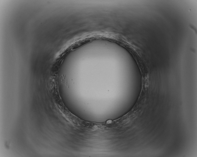 X0000101231496200807111108