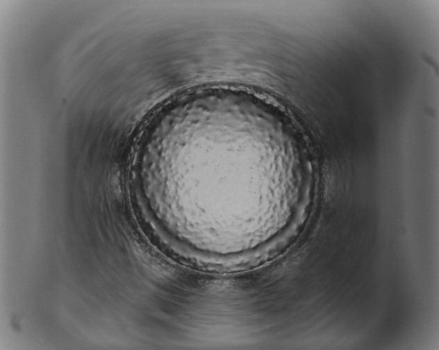 X0000101231497200807111108