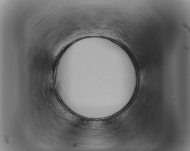 X0000101231498200807111108