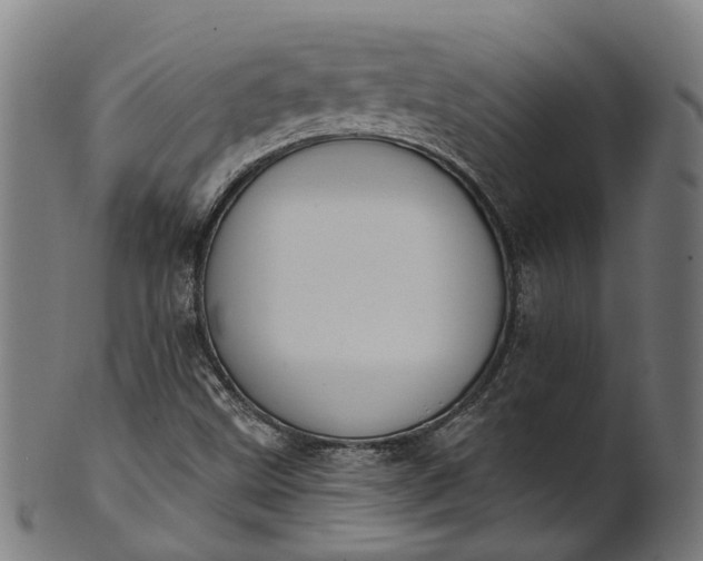 X0000101231499200807111108