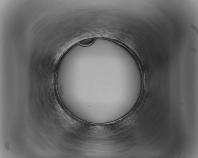 X0000101231500200807111108