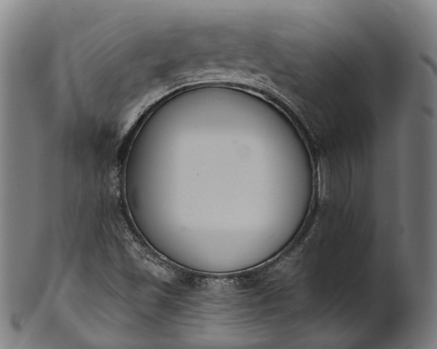 X0000101231501200807111108