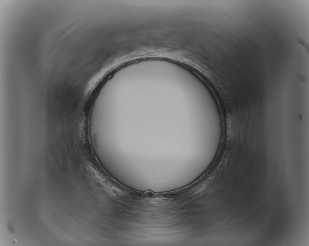 X0000101231502200807111108