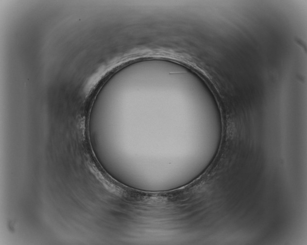 X0000101231503200807111108