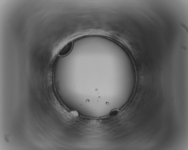 X0000101231504200807111108