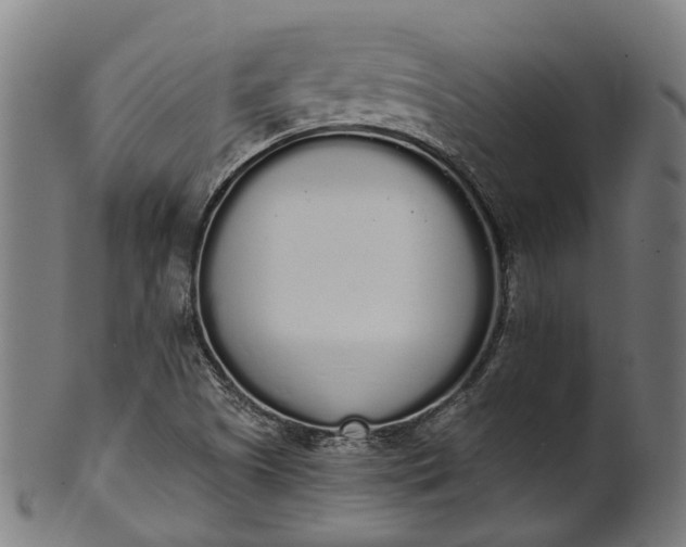 X0000101231505200807111108