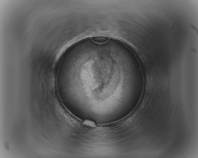 X0000101231506200807111108