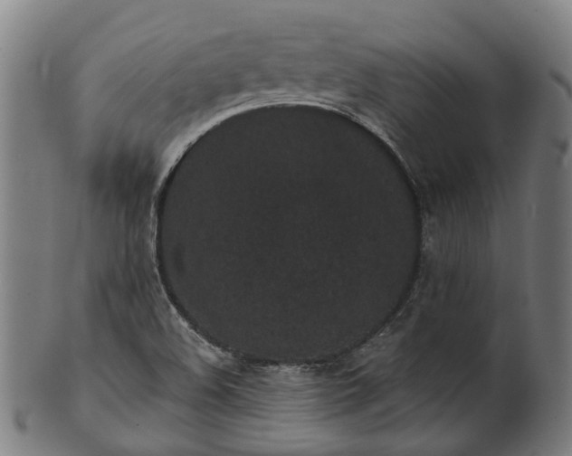 X0000101231508200807111108