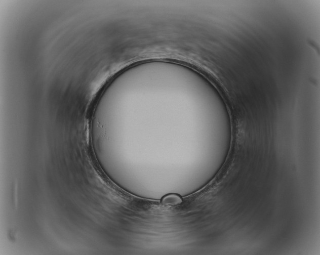 X0000101231509200807111108