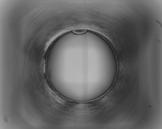 X0000101231510200807111108