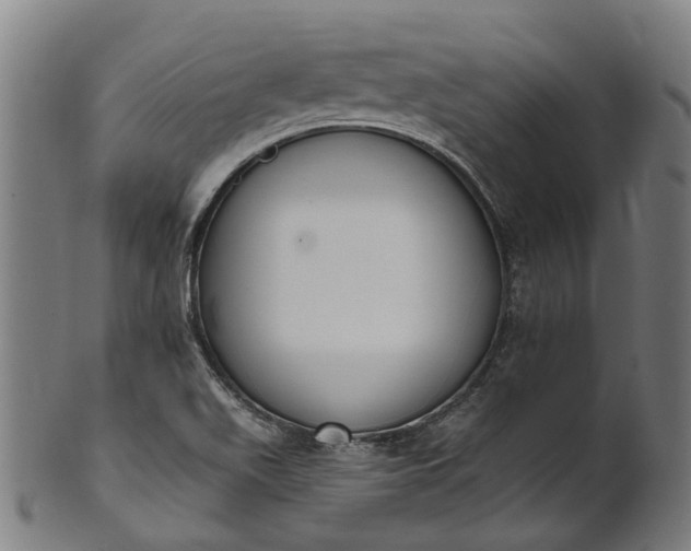 X0000101231511200807111108