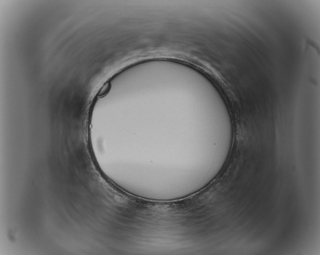 X0000101231512200807111108