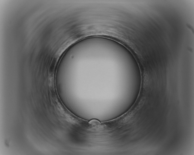 X0000101231513200807111108