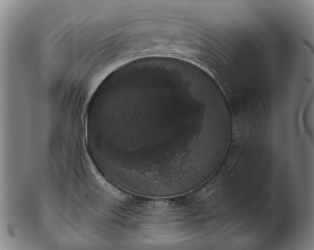 X0000101231515200807111108