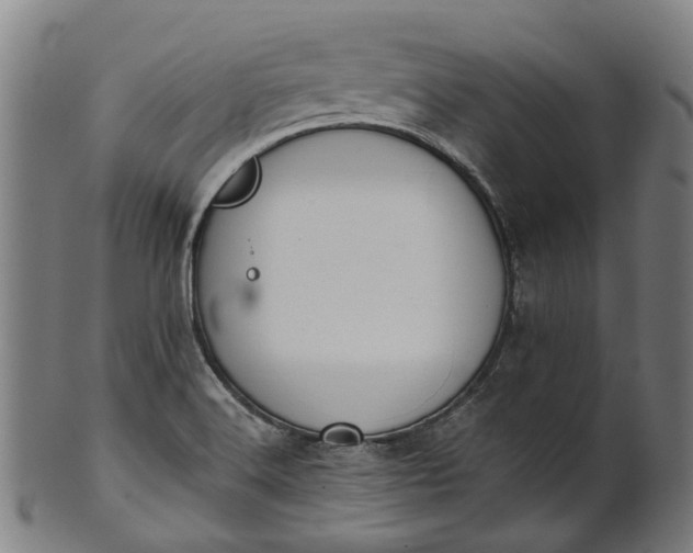 X0000101231516200807111108