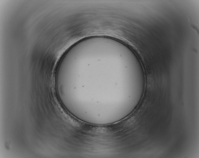 X0000101231517200807111108