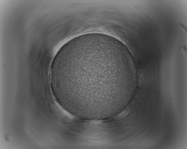 X0000101231519200807111108