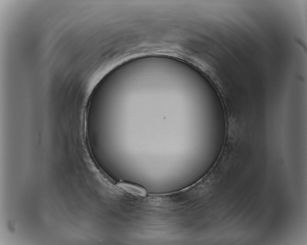 X0000101231520200807111108