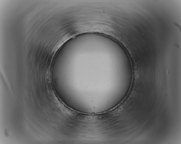 X0000101231521200807111108