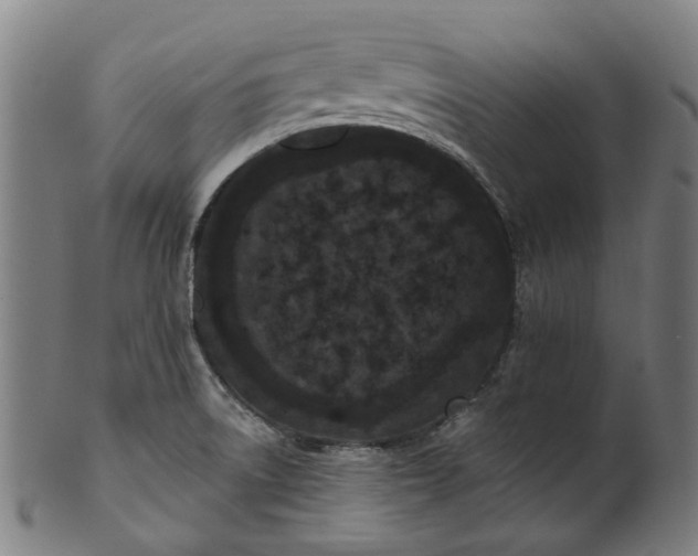 X0000101231522200807111108