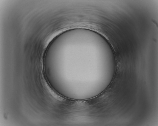 X0000101231523200807111108