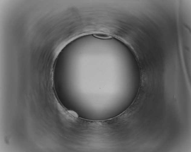 X0000101231524200807111108