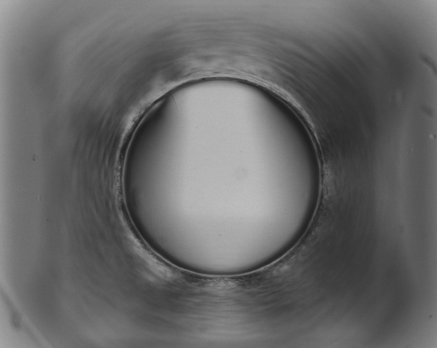 X0000101231525200807111108