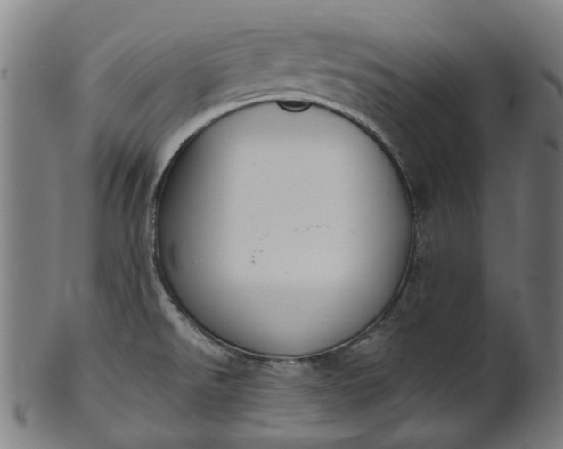 X0000101231526200807111108