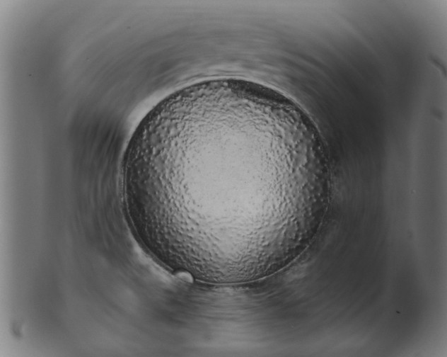 X0000101231527200807111108