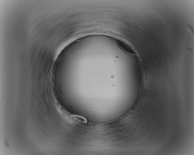 X0000101231530200807111108