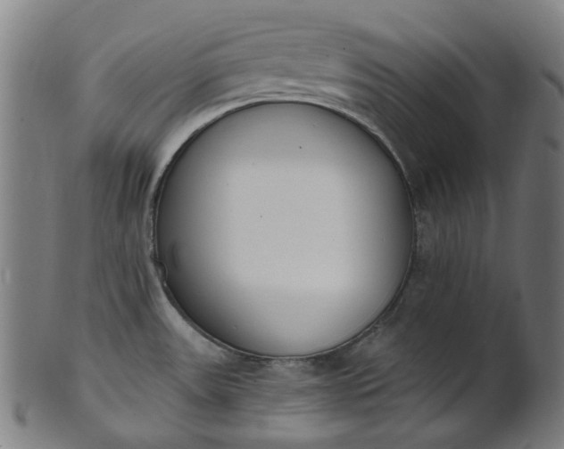 X0000101231531200807111108