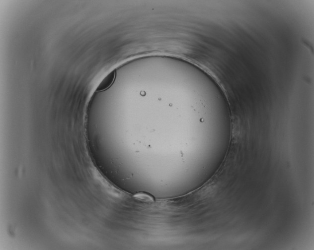 X0000101231532200807111108