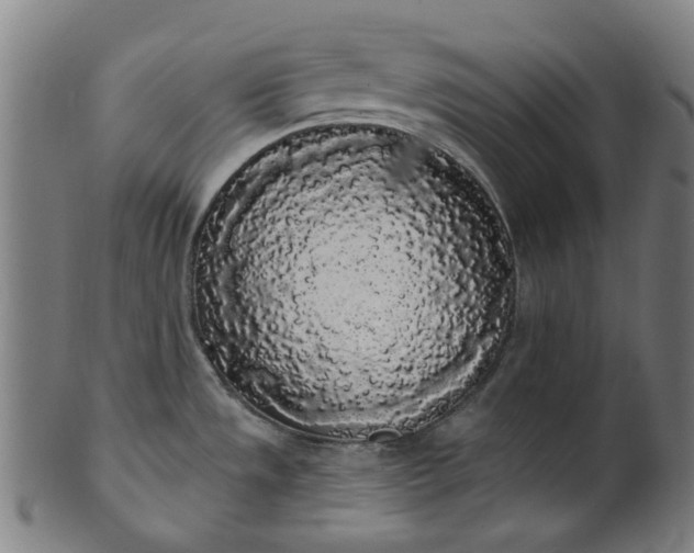 X0000101231533200807111108