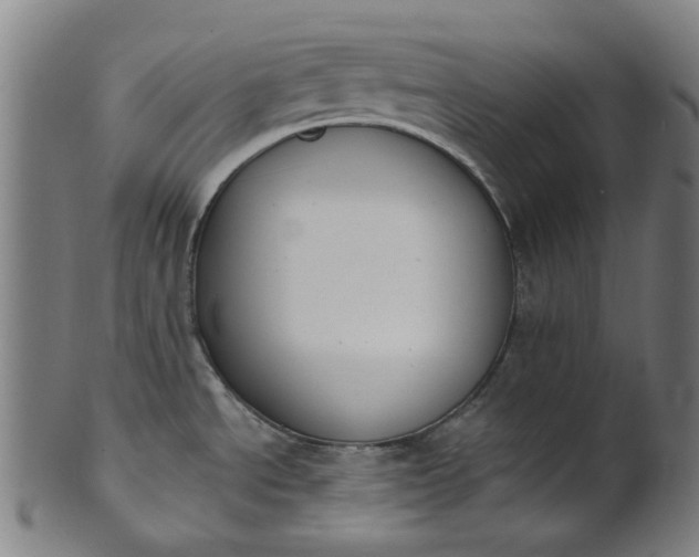 X0000101231534200807111108